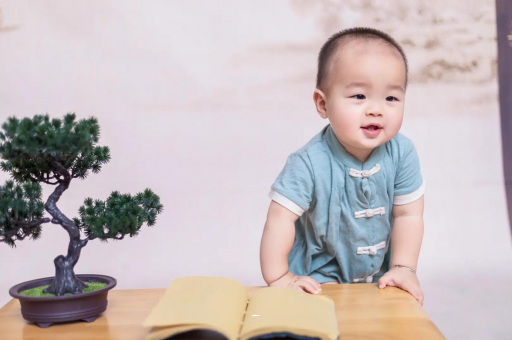 桂阳可爱的企鹅宝宝
